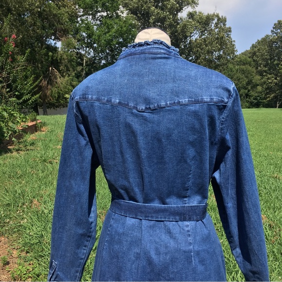 Biden Ruffle Collar & Trim Button Down Denim Shirt Dress Sz 16R - Picture 6 of 10